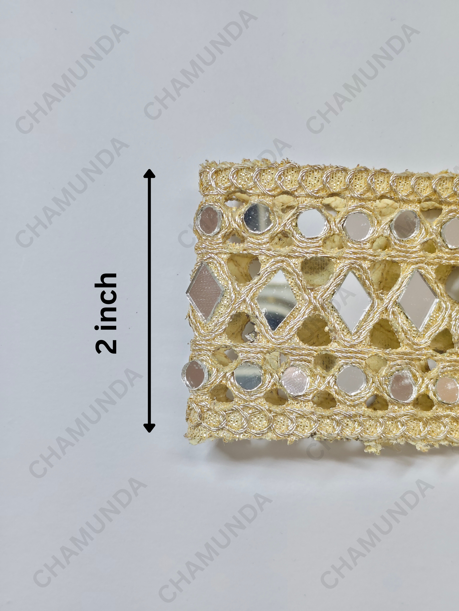 Mirror Work Embroidered Lace Border