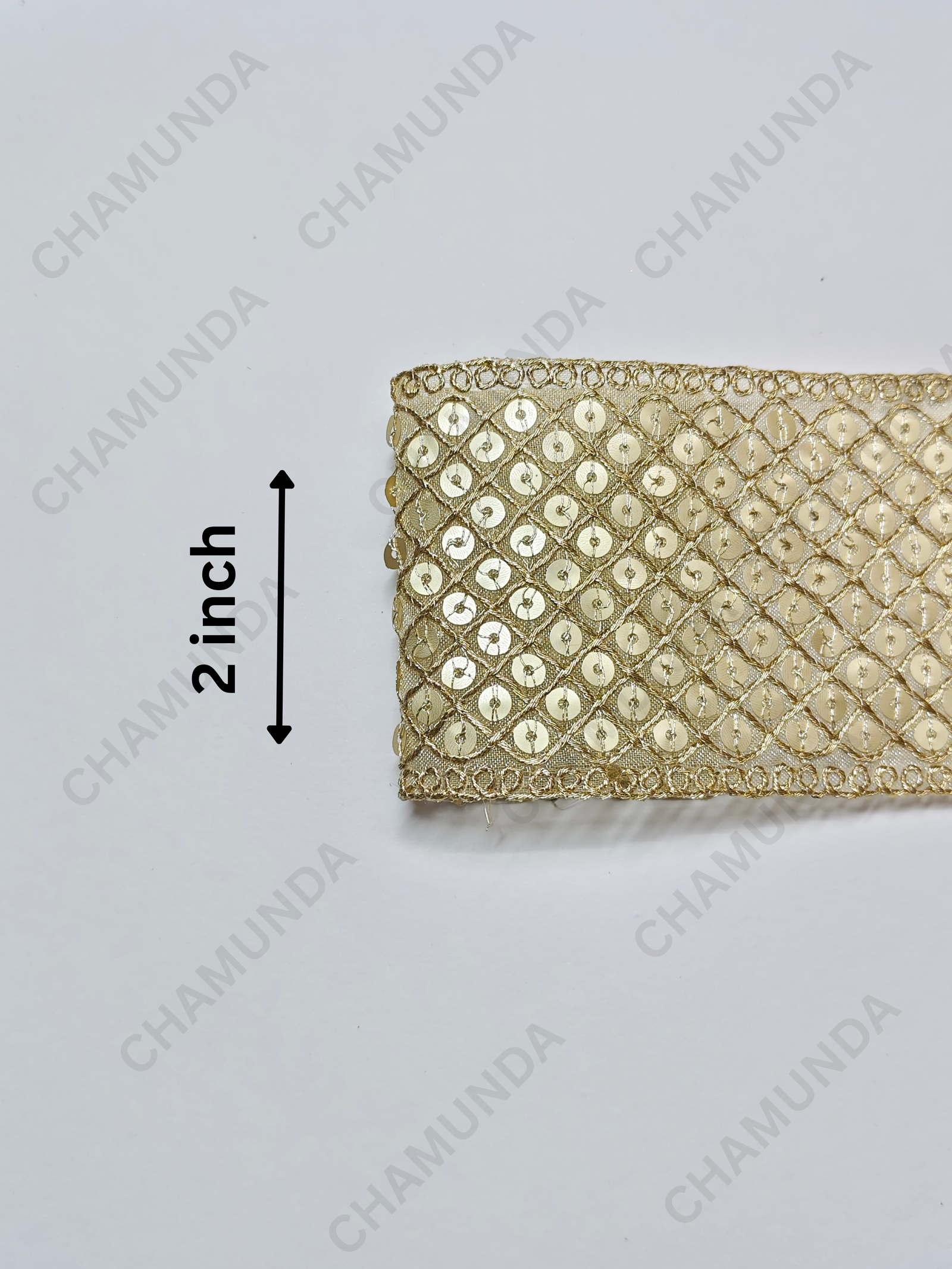 Gold Sequins Lace Border